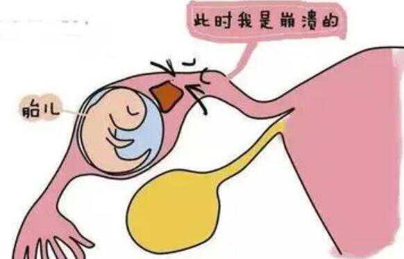 香港代孕-神州中泰哪里有可靠代